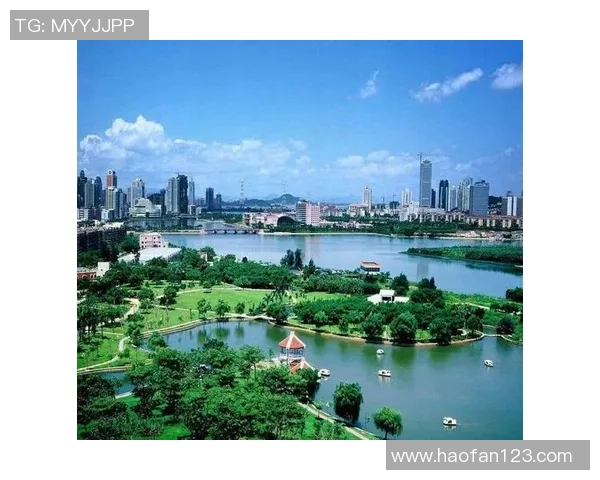 重庆飞盘队的运营模式与发展策略深度解析